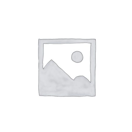 EAEP Fun With Language Activities PP1 (Rationalised)