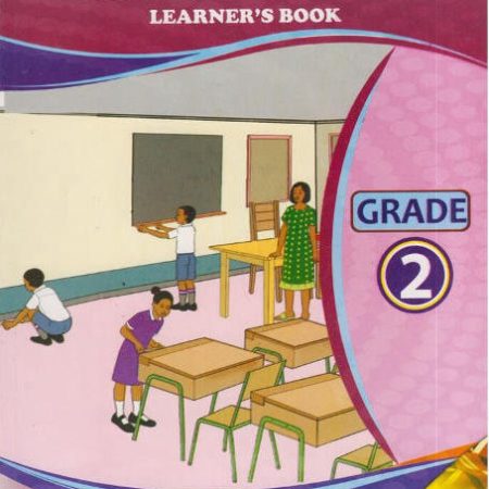 Distinction Mathematical Activities Grade 2 (Rationalised)