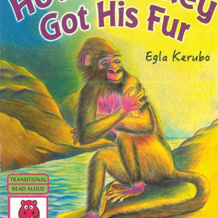 How Monkey Got His Fur (Storymoja) – Life Lessons GD1-2