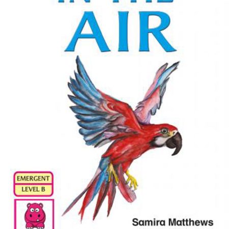 In the Air – An English Storybook for PP1 & PP2 (Storymoja)