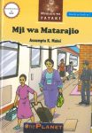 Mji Wa Matarajio - Grade 7 Novella (One Planet)