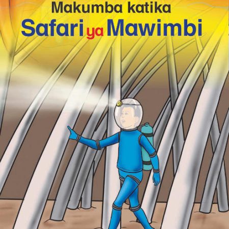 Makumba katika Safari ya Mawimbi (Queenex)