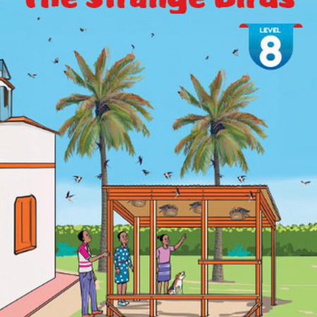 The Strange Birds Level 8 - Made Familiar