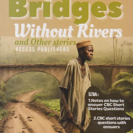 A Guide to Understanding Bridges Without Rivers – GD8 (Climax)