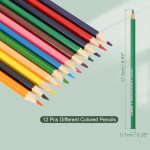 M&G 34363 Colour Pencils 12 pcs Full Size
