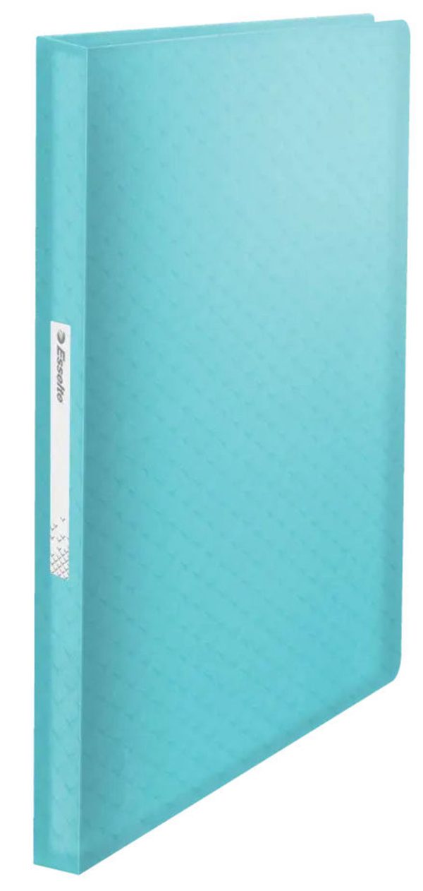 A4 80 Pockets Display Book