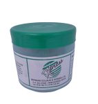Express Powder Paint – 500g Green