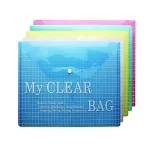My Clear Document Bag A4 (Kasuku)