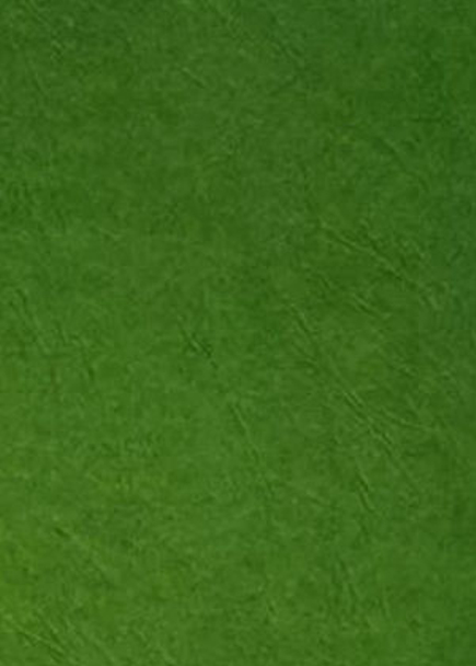 A4 Embossed Paper Chetak CK-231 Green – 1 Sheet
