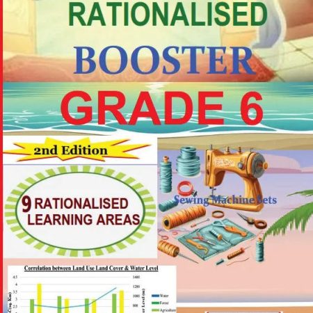 Smartboost Rationalised Booster Grade 6 - 2nd Edition