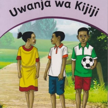 Uwanja wa Kijiji - Grade 3 (Moran)